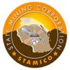 State Mining Corporation (STAMICO)