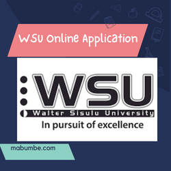 WSU Online Application
